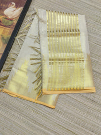 Plain Tissue Saree With Temple Borders